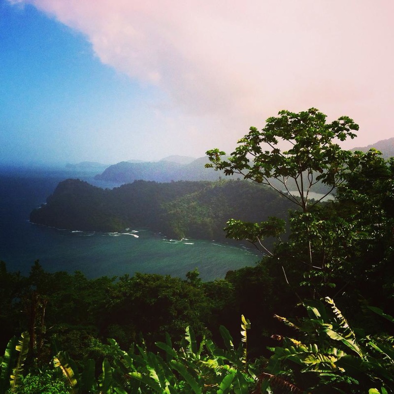 Overlook of tropical inlet, Trinidad