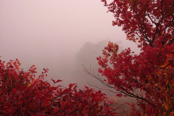 Red leaves and misty valley, North Carolina