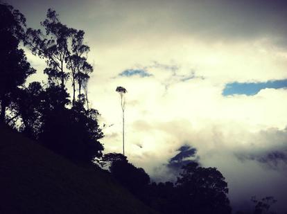 Foggy valley, End of the World Swing, Banos, Ecuador
